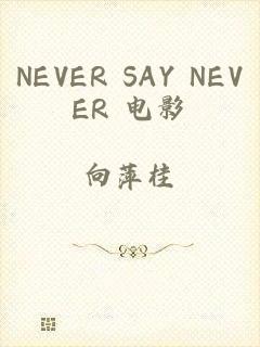 NEVER SAY NEVER 电影